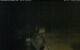 Walton 03.07.2025 23:08