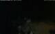 Walton 14.07.2025 23:08