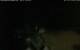 Walton 14.06.2025 23:08