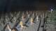 Castiglione della Pescaia 09.07.2025 23:13