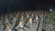 Castiglione della Pescaia 08.06.2025 23:14