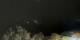Rayol-Canadel-sur-Mer 30.04.2025 23:14