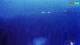 Kolan (Pag) 29.04.2025 23:15