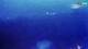 Kolan (Pag) 30.04.2025 23:15