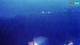 Kolan (Pag) 10.07.2025 23:14