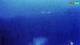 Kolan (Pag) 08.06.2025 23:15