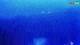 Kolan (Pag) 14.06.2025 23:14