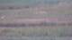 Les Landes-Genusson 14.06.2025 23:16