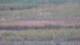 Les Landes-Genusson 08.06.2025 23:16