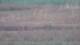 Les Landes-Genusson 04.07.2025 23:16