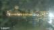 Lerici 06.07.2025 23:17