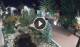 Gatlinburg, Tennessee 04.05.2025 23:17