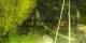 Faoug 29.04.2025 23:04