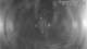 Castaway Island 09.06.2025 23:48