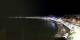 Nizza 29.04.2025 23:19