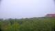 Zuydcoote 08.06.2025 23:19