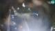 Ogulin 11.07.2025 23:19
