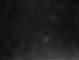 Costa Fortuna 30.04.2025 23:20