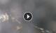 Furore 29.04.2025 23:21