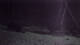 Borkum 29.04.2025 23:21