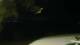 Le Morne 30.04.2025 23:22