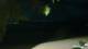 Le Morne 11.05.2025 23:22