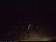 Schwedt (Oder) 20.06.2025 23:23
