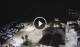 Punta Secca 05.07.2025 23:24