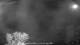 Carrum 08.05.2025 23:25