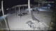 Kiwengwa (Zanzibar) 17.05.2025 23:25