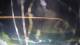 Solkan 02.07.2025 23:25