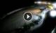 Cabarete 29.04.2025 23:26