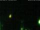 Meßkirch 14.06.2025 23:26