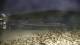 Malpica 08.06.2025 23:27