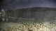Malpica 13.07.2025 23:31
