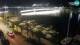 Zadar 12.07.2025 23:31