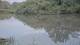 Les Landes-Genusson 14.06.2025 23:28