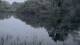 Les Landes-Genusson 29.04.2025 23:28