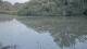 Les Landes-Genusson 01.07.2025 23:28