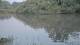 Les Landes-Genusson 08.06.2025 23:28