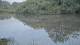 Les Landes-Genusson 11.06.2025 23:28