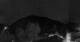 Pianazzo 12.05.2025 23:28