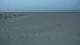 Dunkerque 09.06.2025 23:28