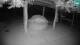 Lubiana 29.04.2025 23:29