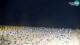 Bibione 30.04.2025 23:29