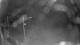 Houlgate 29.04.2025 23:20