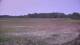 Les Landes-Genusson 01.06.2025 23:31