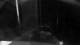 Le Ponant 01.05.2025 22:32
