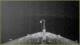 Le Lyrial 11.05.2025 23:31
