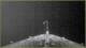 Le Lyrial 30.04.2025 23:32